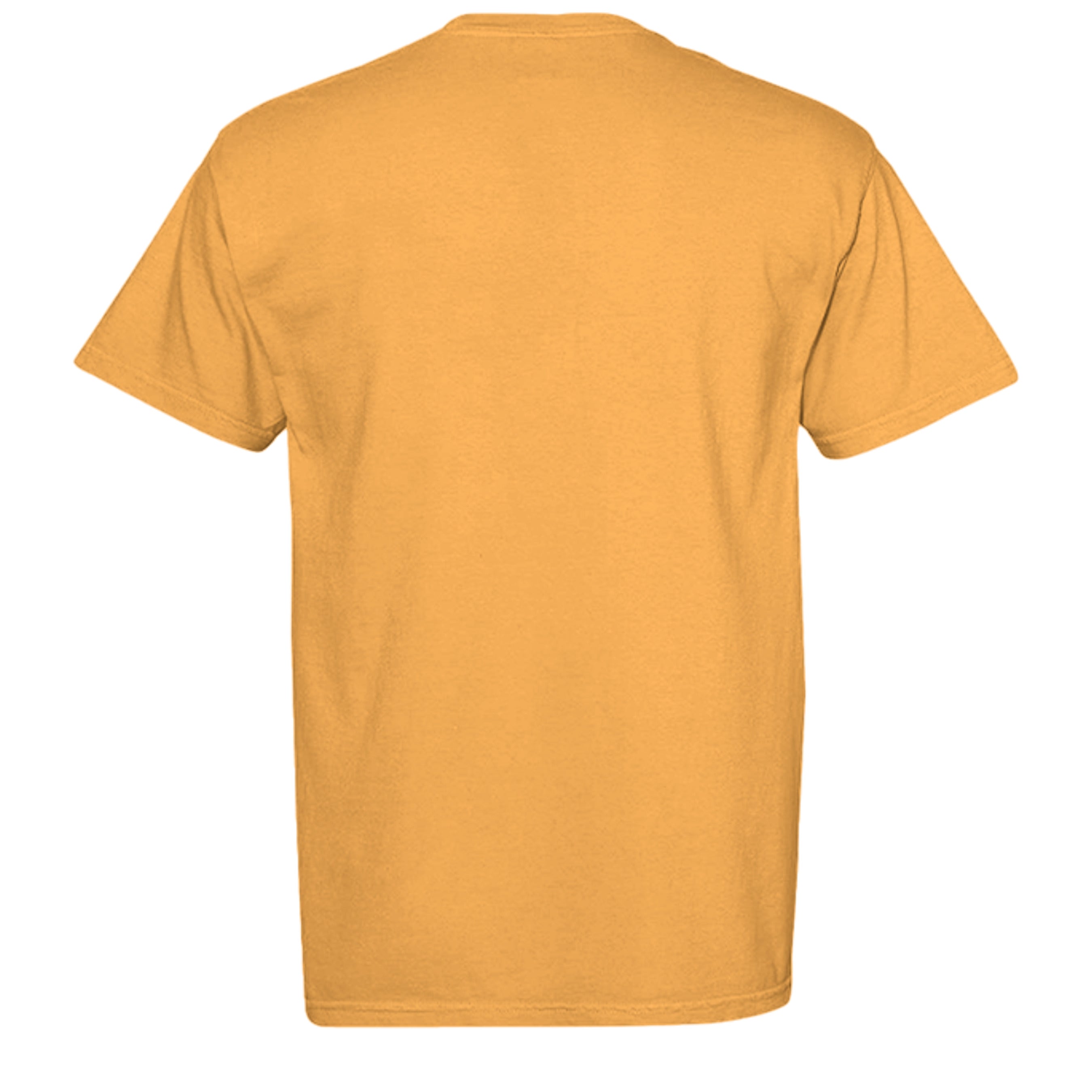 Bright Orange - C1717 - BACK