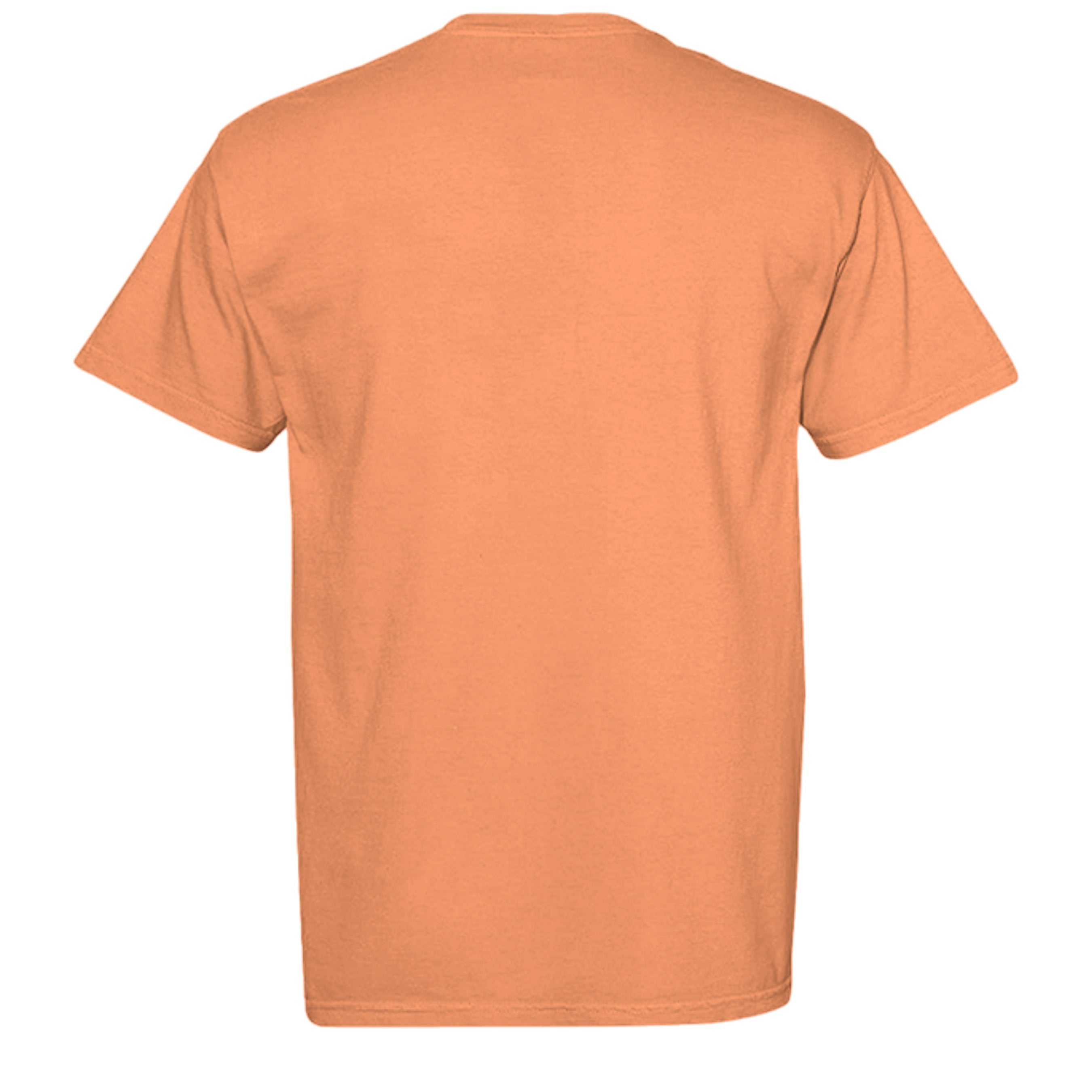 BURNT ORANGE - C1717 - BACK